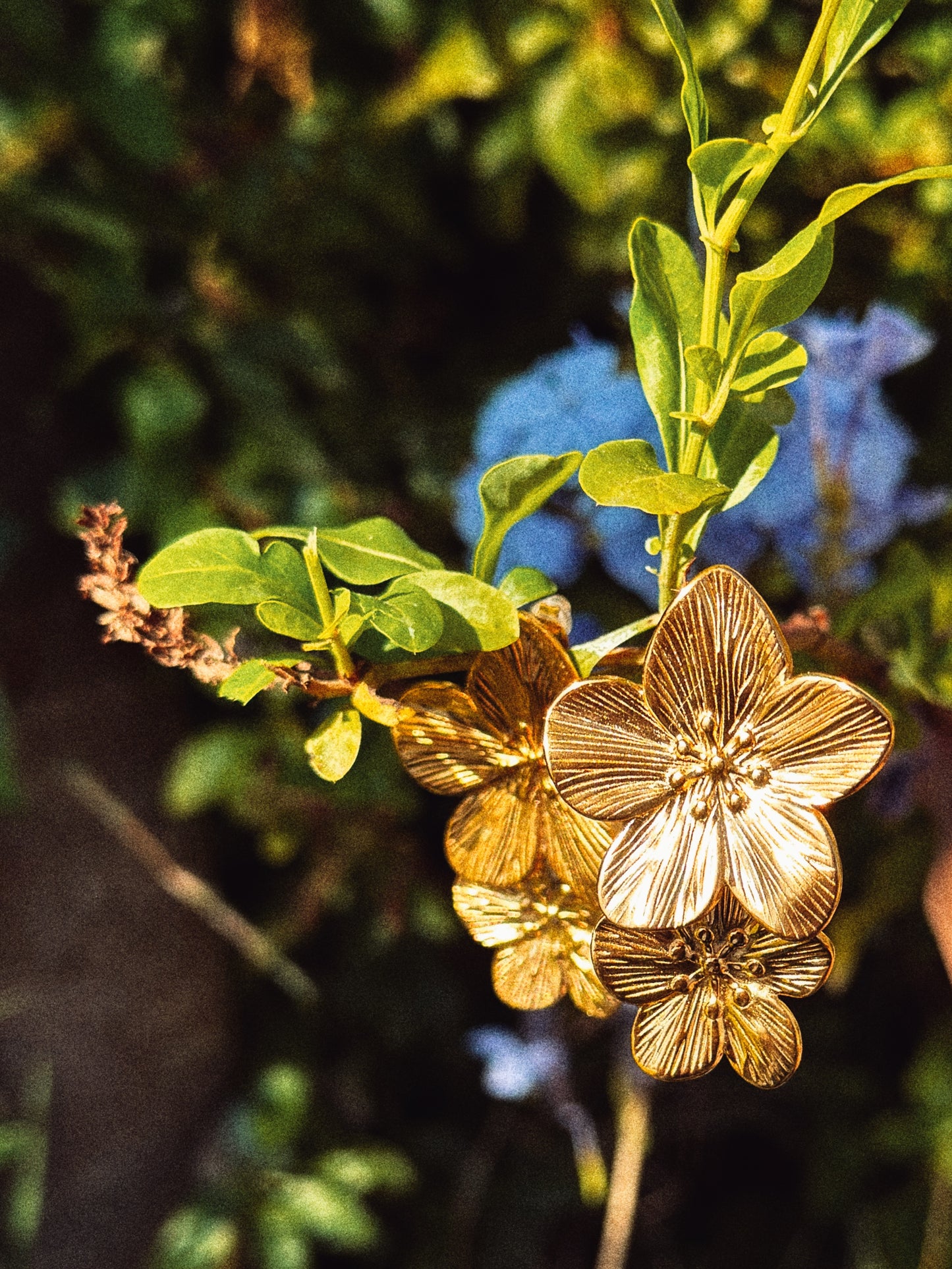 Brinco Flowers - Coleção Nature